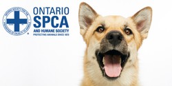 ONTARIO SOCIETY FOR THE PREVENTION OF CRUELTY TO ANIMALS (SPCA ...